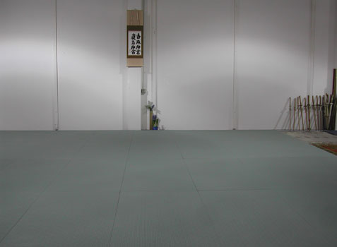 40 mat dojo space